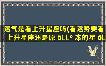 运气是看上升星座吗(看运势要看上升星座还是原 🐺 本的星 🦆 座)